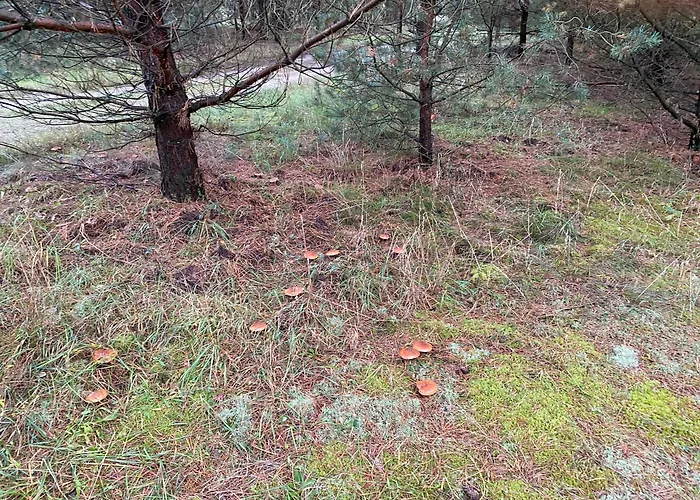 Mit Ruhe Wasser Licht